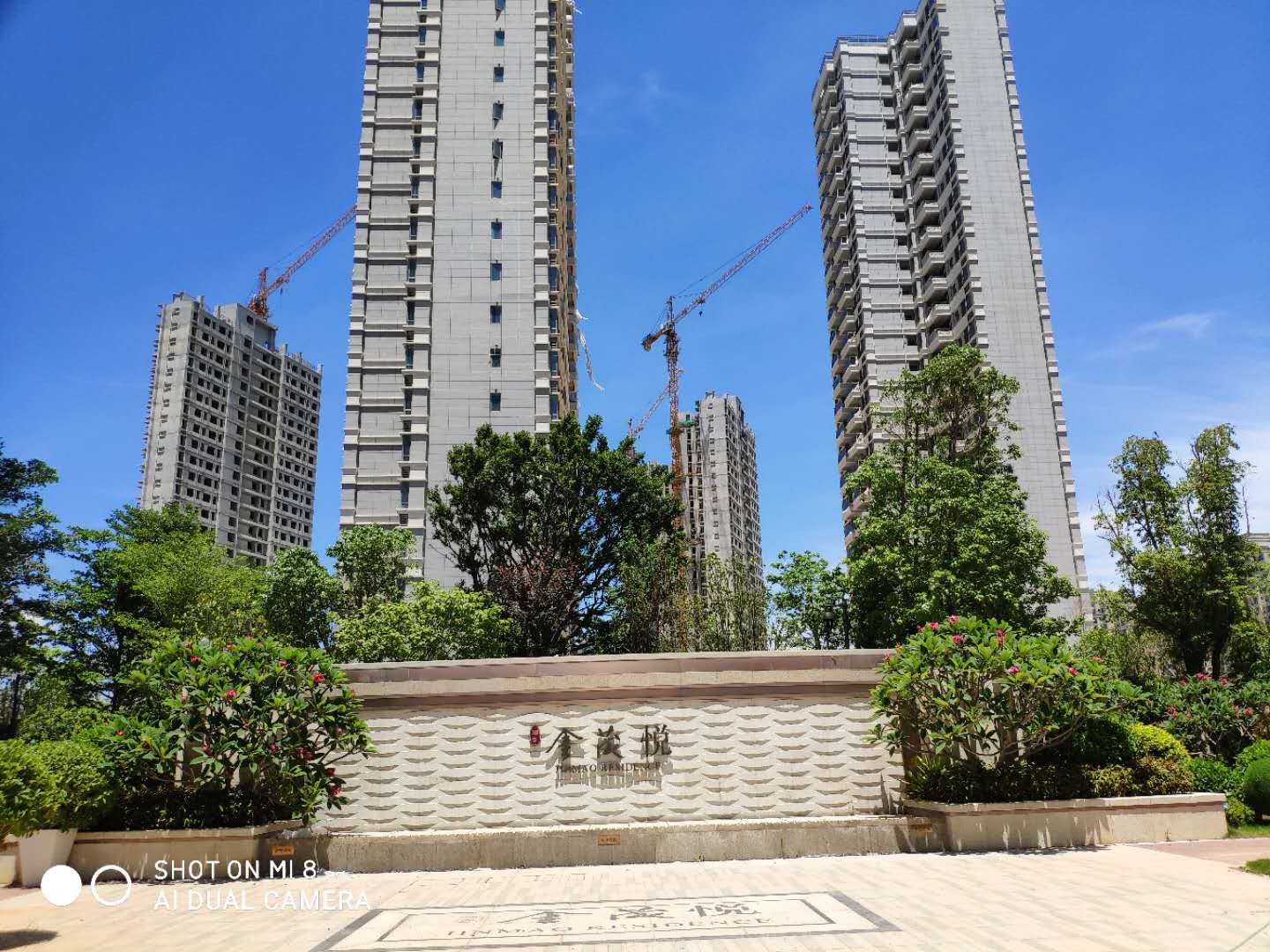 翔安金茂工地巡场 翔安金茂工地巡场