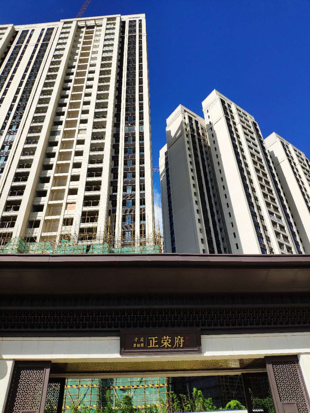 佛山岭南墅开盘 佛山岭南墅开盘