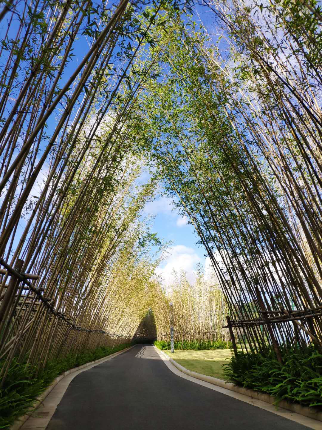 佛山岭南墅开盘 佛山岭南墅开盘