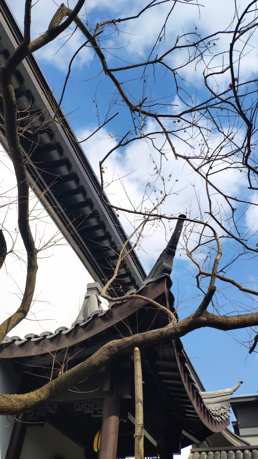 2023年2月崇明建发和玺巡场 2023年2月崇明建发和玺巡场