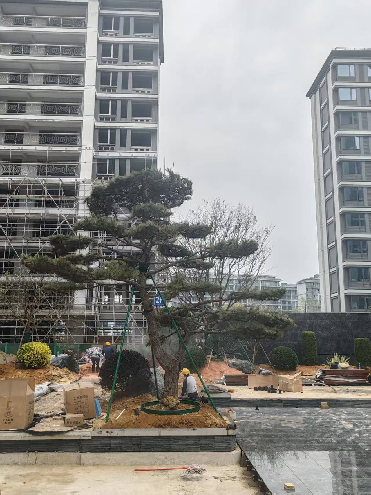 2025-3-28日北源云筑项目现场施工配合 2025-3-28日北源云筑项目现场施工配合