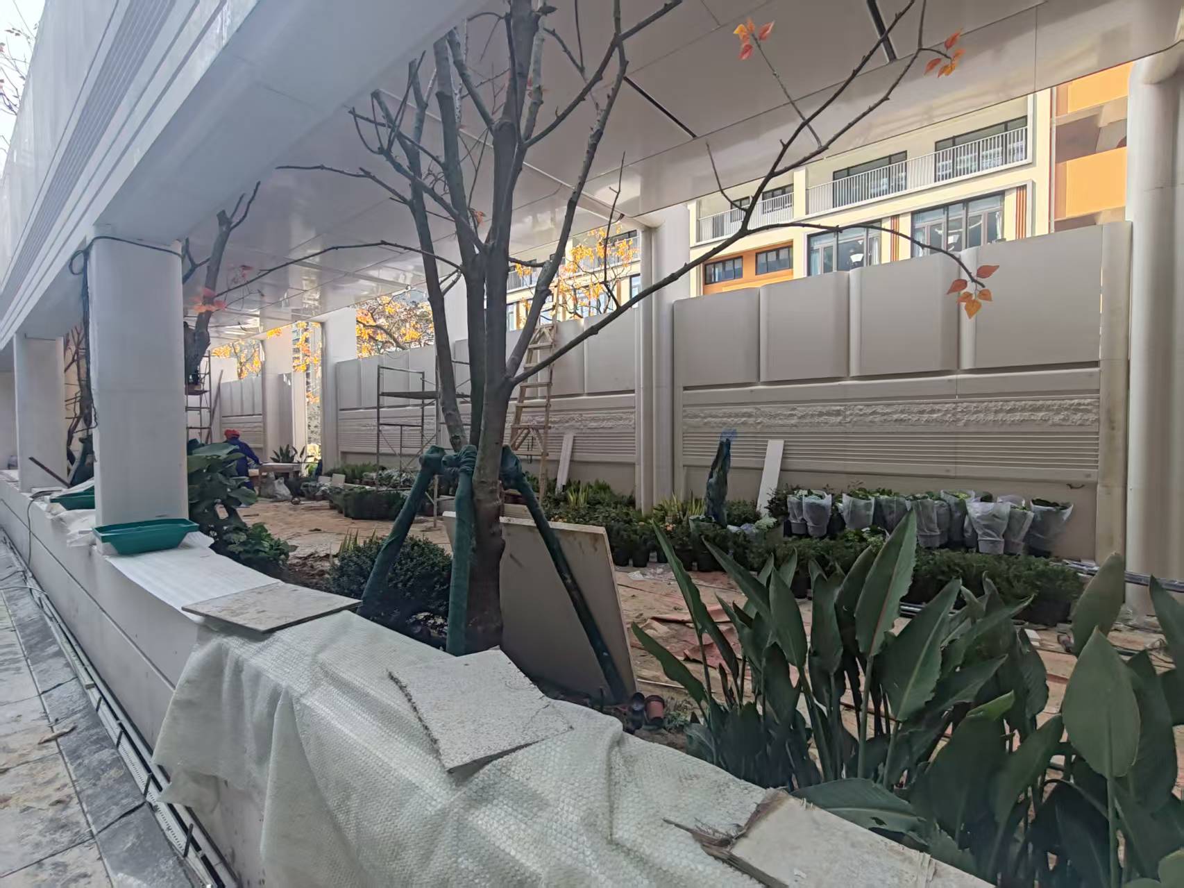 2026-3-5春节后左海锦翠开工巡场 2026-3-5春节后左海锦翠开工巡场
