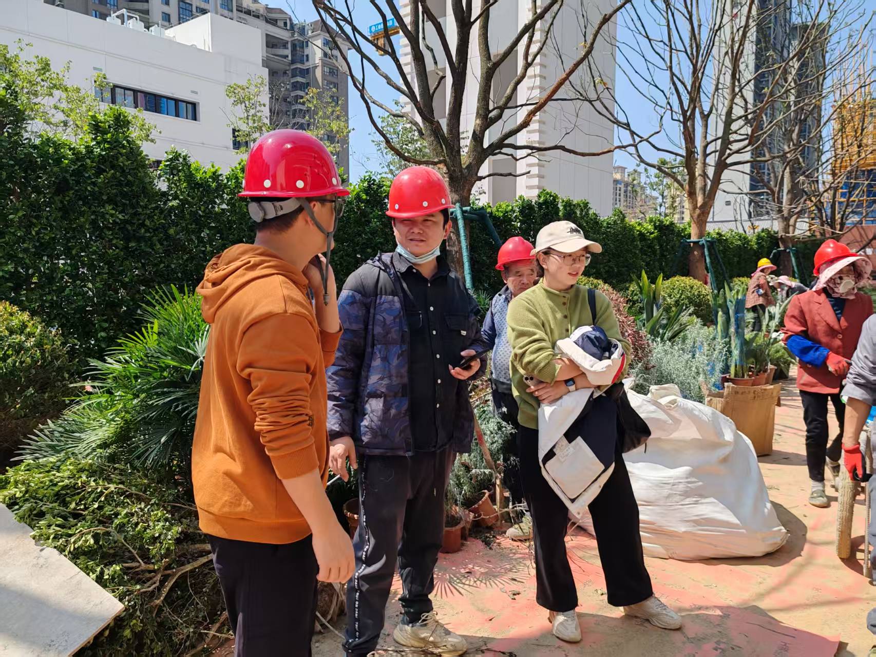 2026-3-12日植树节福州左海锦翠绿化种植 2026-3-12日植树节福州左海锦翠绿化种植