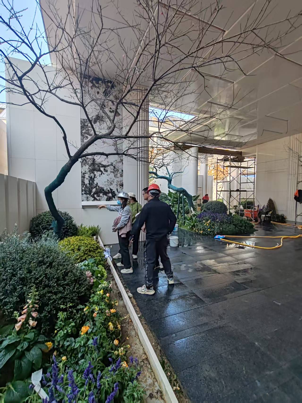 2026-3-12日植树节福州左海锦翠绿化种植 2026-3-12日植树节福州左海锦翠绿化种植